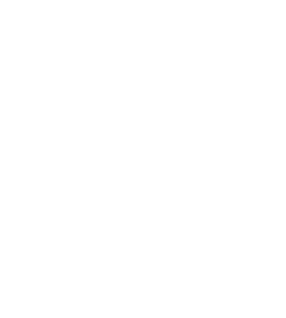 Icone-Bloc-Quebecois-2.png